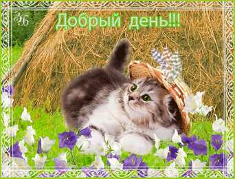 добрый день. открытки добрый день.доброго дня. хорошего дня. удачного дня